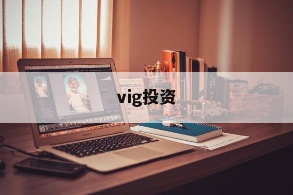vig投资(vigo是哪个国家港口)